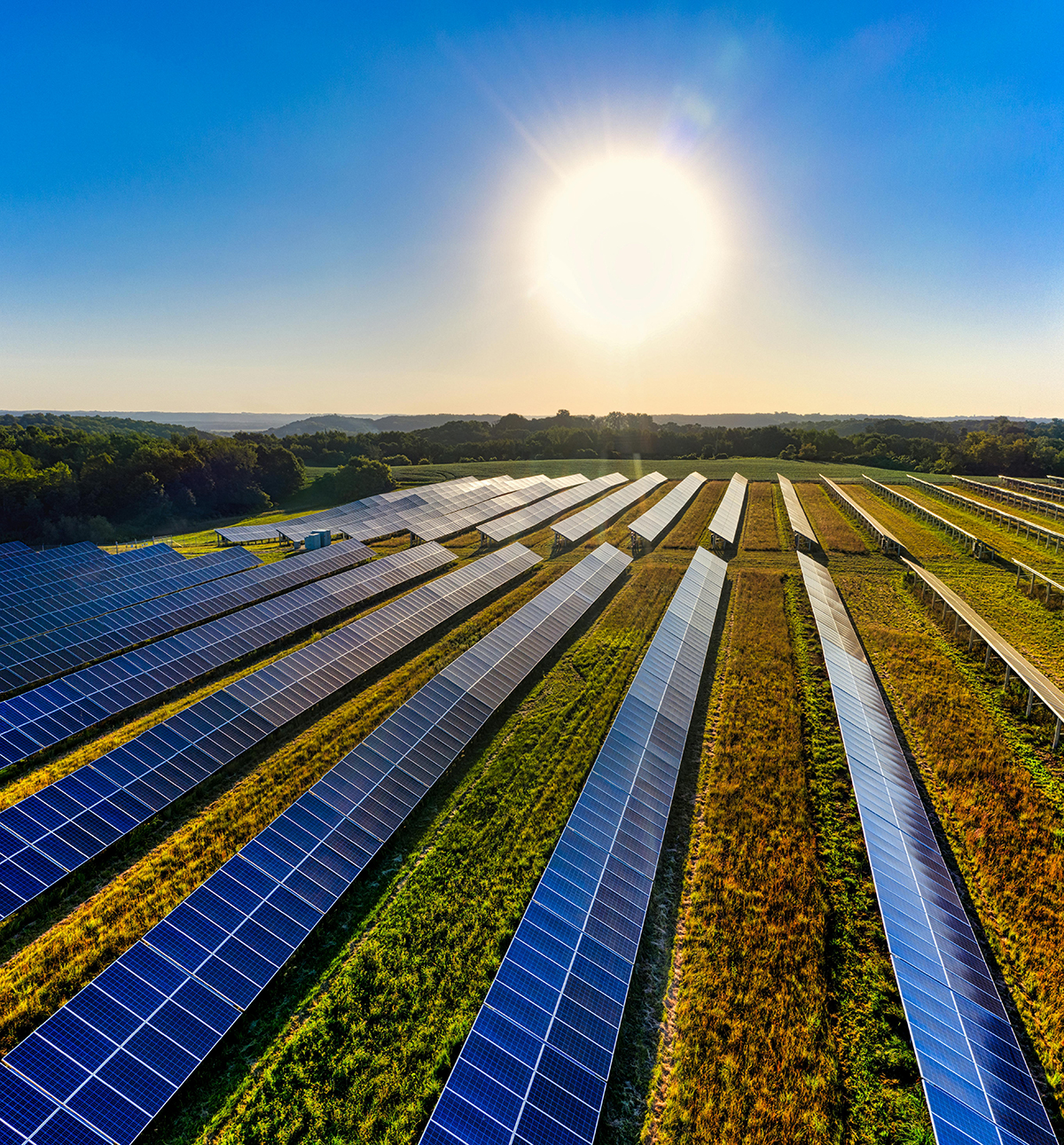Solar Panel